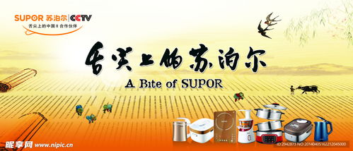 匠心烹饪，美好生活——苏泊尔广告设计图全解析